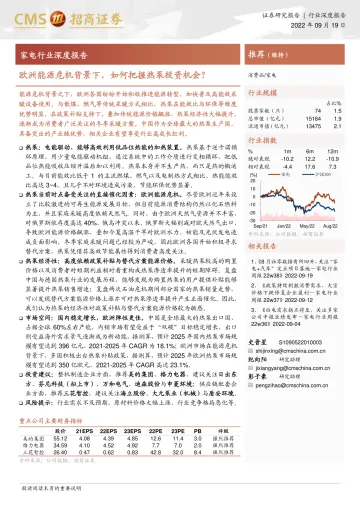 家电行业深度报告：欧洲能源危机背景下，如何把握热泵投资机会？-20220919-招商证券-30页