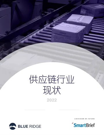 2022年供应链行业现状-24页