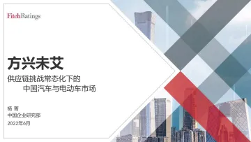 2022惠誉看中国+供应链挑战常态化下的中国汽车与电动车市场-20页-WN8
