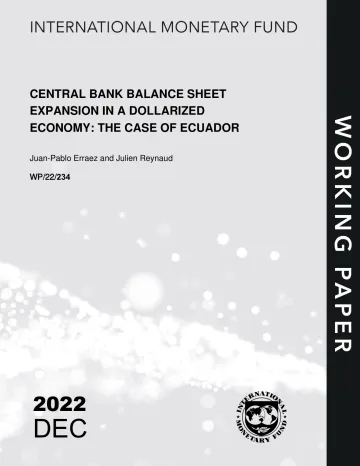 IMF-美元化经济中的中央银行资产负债表扩张:以厄瓜多尔为例(英)-2022.12-23页