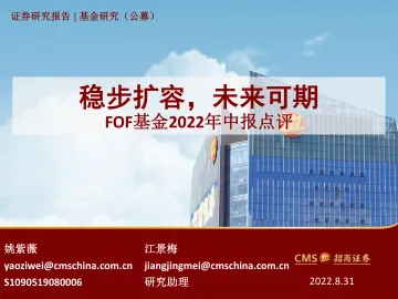 FOF基金2022年中报点评:稳步扩容,未来可期-20220831-招商证券-36页