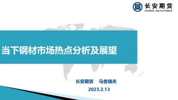当下钢材市场热点分析及展望-20230213-长安期货-23页