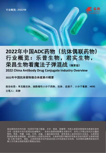 头豹研究院-2022年中国ADC药物（抗体偶联药物）行业概览：乐普生物，君实生物，荣昌生物看魔法子弹混战（摘要版）-2022.09-13页-WN9