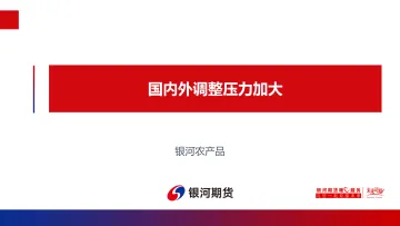 国内外调整压力加大-20220522-银河期货-20页