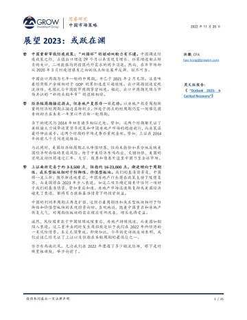 思睿研究洪灏-展望2023:或跃在渊-2022.11.20-21页