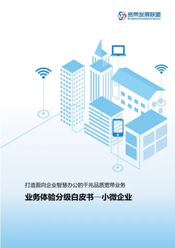 业务体验分级白皮书-小微企业-53页