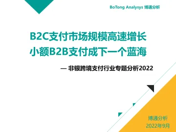 博通分析-B2C支付市场规模高速增长—非银跨境支付行业专题分析2022-2022.9-99页