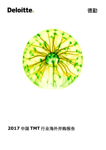 2017中国TMT行业海外并购报告_1