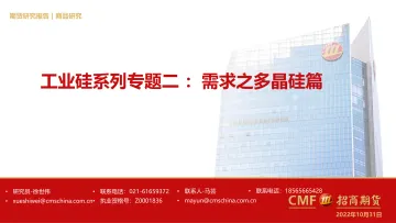 工业硅系列专题二 :需求之多晶硅篇-20221031-招商期货-25页