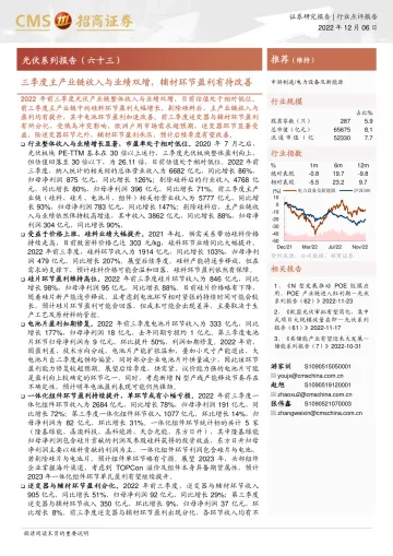 电力设备及新能源行业光伏系列报告(六十三):三季度主产业链收入与业绩双增,辅材环节盈利有待改善-20221206-招商证券-32页