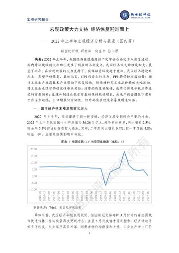 新世纪评级-宏观政策大力支持 经济恢复迎难而上——2022年上半年宏观经济分析与展望(国内篇)-16页-WN8