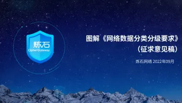 炼石-图解《网络数据分类分级要求》(征求意见稿)-2022.9-42页-WN9