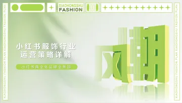 小红书服饰行业运营实操解法-17页-WN8