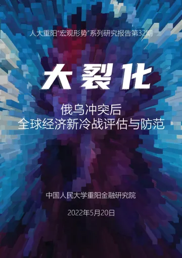 大裂化：俄乌冲突后，全球经济新冷战评估与防范-人大重阳-2022.5.20-35页