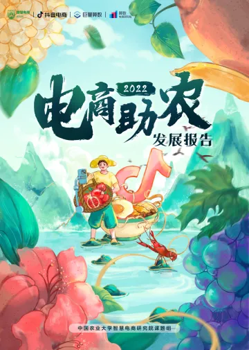 2022电商助农发展报告-48页