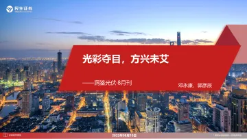 光伏行业:洞鉴光伏·8月刊,光彩夺目,方兴未艾-20220810-民生证券-48页