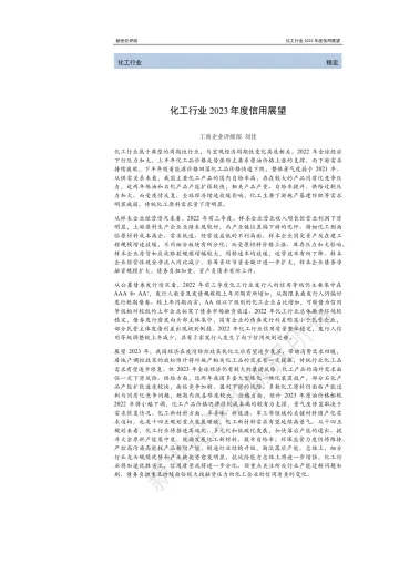 新世纪评级-化工行业2023年度信用展望-28页