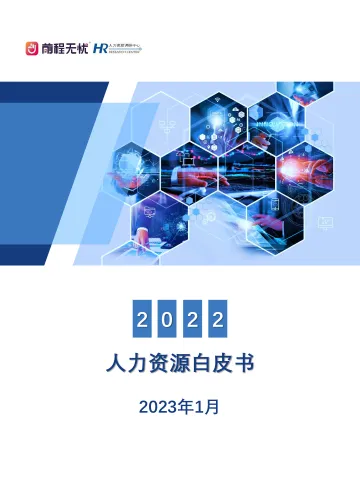 2022人力资源白皮书-37页