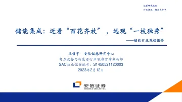 储能行业策略报告:储能集成,近看“百花齐放”,远观“一枝独秀”-20230212-安信证券-37页