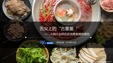 2019火锅行业研究及消费者调研报告