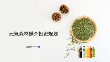 元気森林媒介投资规划【快消零售】【营销推广】_1