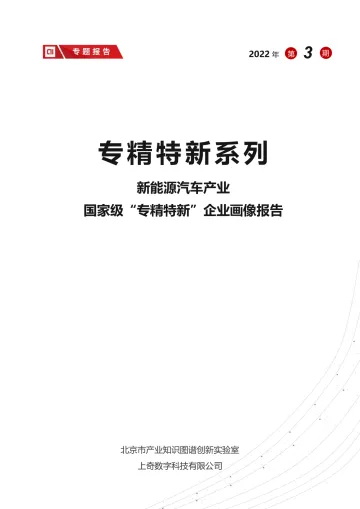 新能源汽车产业国家级小巨人画像-14页