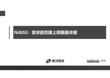 Ni&SS:需求能否跟上预期是关键-20221205-银河期货-22页