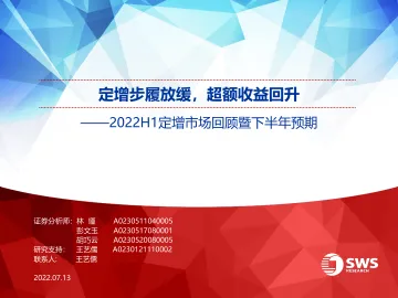 2022H1定增市场回顾暨下半年预期:定增步履放缓,收益分化明显-20220713-申万宏源-39页