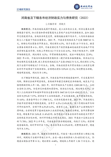 新世纪评级-河南省及下辖各市经济财政实力与债务研究(2022)-35页