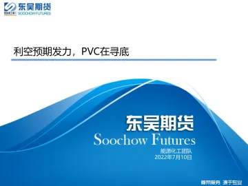 利空预期发力,PVC在寻底-20220710-东吴期货-21页