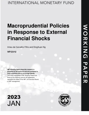 IMF-应对外部金融冲击的宏观审慎政策(英)-2023.1-46页