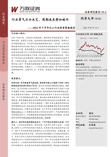 2022年下半年化工行业投资策略报告:行业景气方兴未艾,周期成长势如破竹-20220614-万联证券-38页