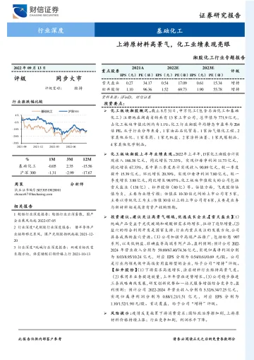 湘股化工行业专题报告:上游原材料高景气,化工业绩表现亮眼-20220913-财信证券-22页