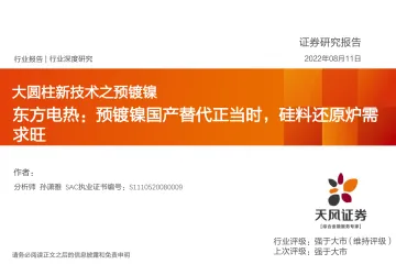 新能源行业大圆柱新技术之预镀镍：东方电热，预镀镍国产替代正当时，硅料还原炉需求旺-20220811-天风证券-29页