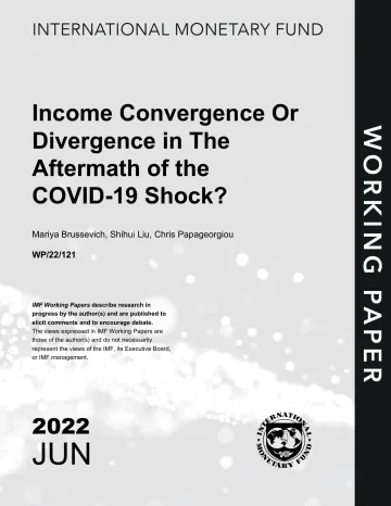 IMF-冠状病毒疾病冲击后的收入趋同还是分歧?(英)-2022.6-37页
