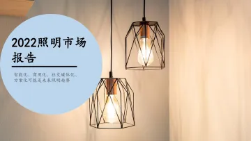 照明市场报告-14页