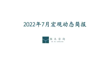 2022年7月宏观动态简报_微木咨询-13页