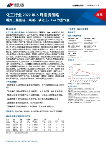基础化工行业2022年6月投资策略：看好三氯氢硅、纯碱、磷化工、EVA的景气度-20220531-国信证券-25页