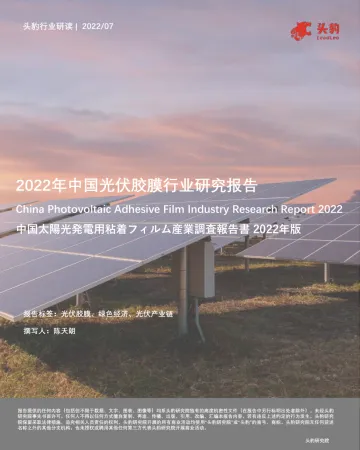 2022年中国光伏胶膜行业研究报告-2022.08-11页-WN9