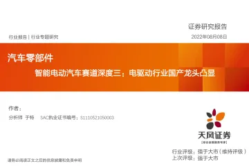 汽车零部件行业智能电动汽车赛道深度三：电驱动行业国产龙头凸显-20220808-天风证券-39页