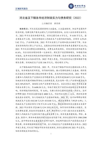 新世纪评级-河北省及下辖各市经济财政实力与债务研究(2022)-23页