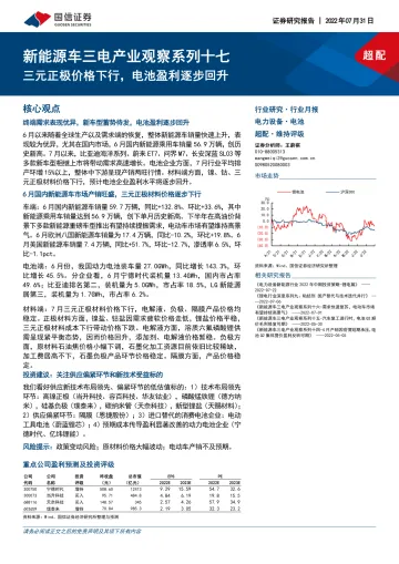 电力设备行业新能源车三电产业观察系列十七:三元正极价格下行,电池盈利逐步回升-20220731-国信证券-22页