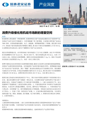产业深度:消费升级催化有机硅市场新的增量空间-20220616-国泰君安-19页
