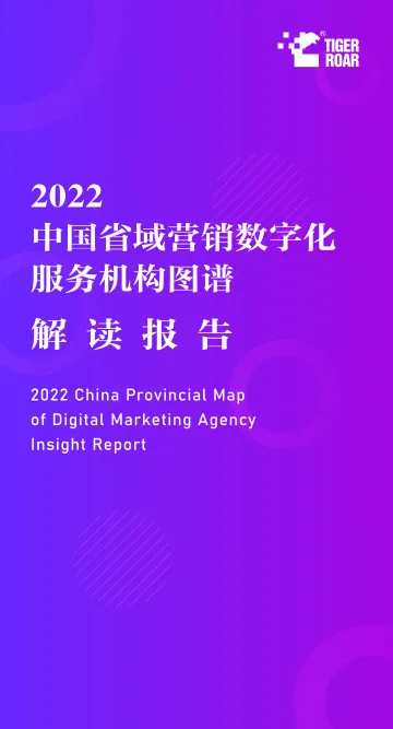 2022中国省域营销数字化服务机构图谱解读报告-28页