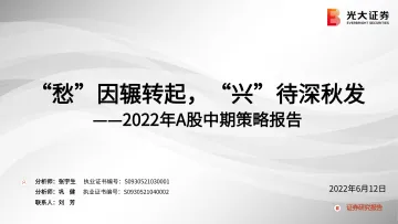 2022年A股中期策略报告:“愁”因辗转起,“兴”待深秋发-20220612-光大证券-89页