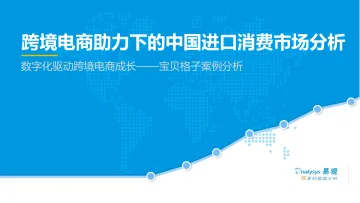 数字化驱动跨境电商成长——宝贝格子案例分析_1