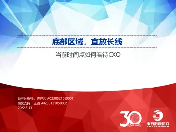医药行业当前时间点如何看待CXO:底部区域,宜放长线-20220513-申万宏源-31页