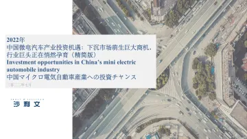 2022年中国微电汽车产业投资机遇报告-18页