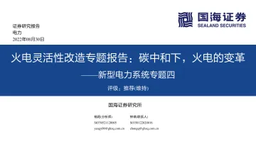新型电力行业系统专题四:火电灵活性改造专题报告,碳中和下,火电的变革-20220830-国海证券-63页