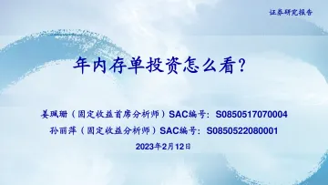 年内存单投资怎么看？-20230212-海通证券-18页